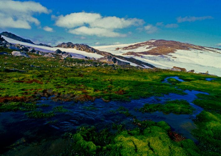 seiland_4 (710 × 499 px)